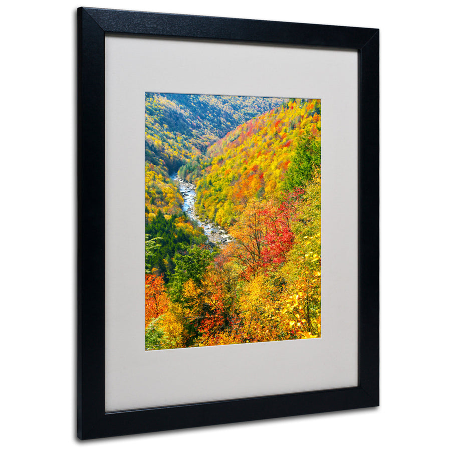 CATeyes Valley Black Wooden Framed Art 18 x 22 Inches Image 1