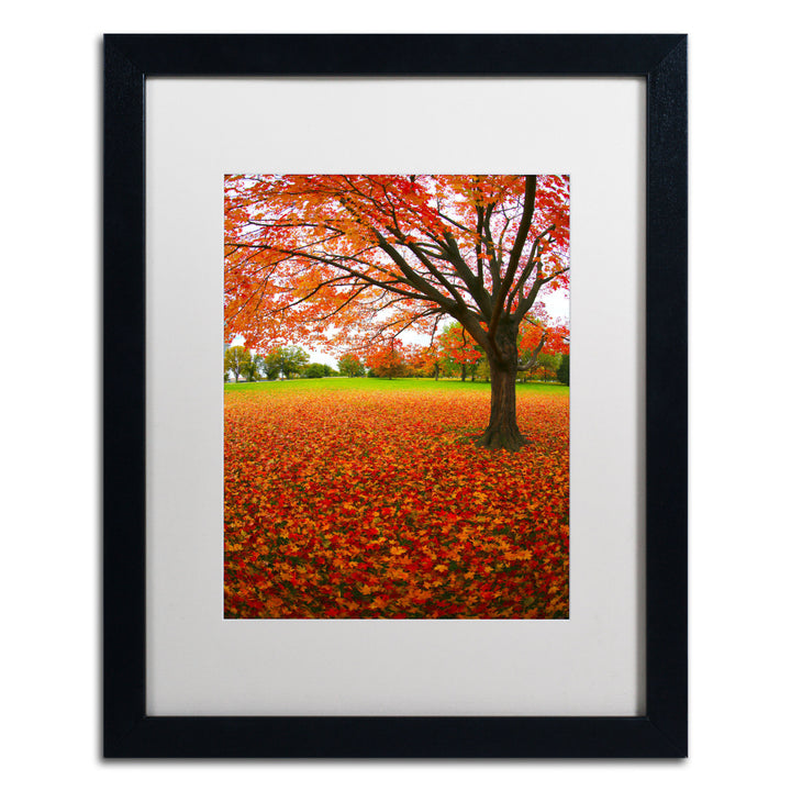 CATeyes Autumn Expressions Black Wooden Framed Art 18 x 22 Inches Image 1