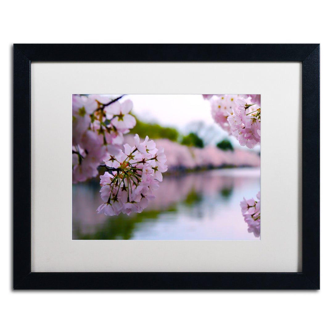 CATeyes Cherry Blossoms 2014-2 Black Wooden Framed Art 18 x 22 Inches Image 1