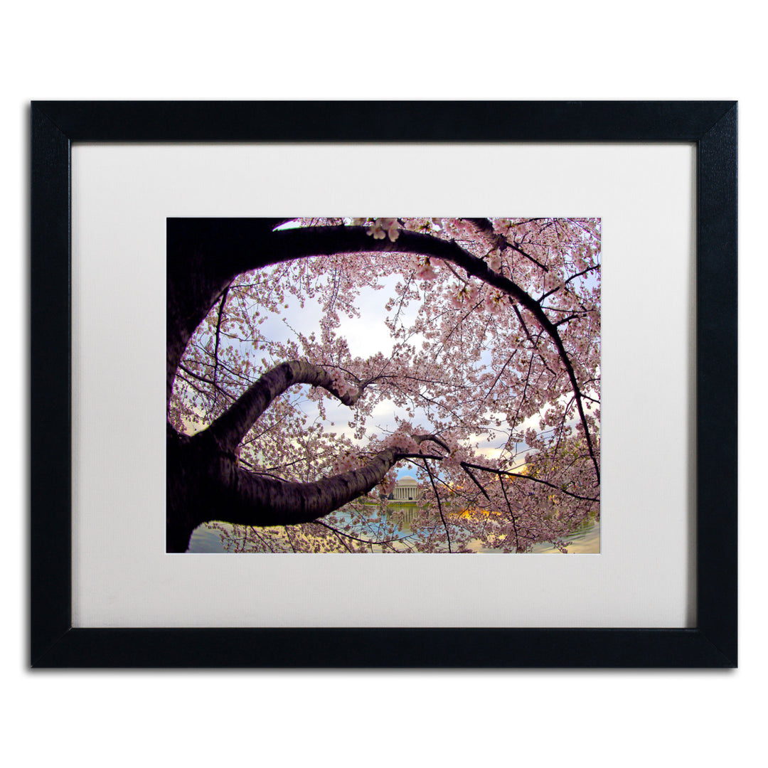 CATeyes Cherry Blossoms 2014-1 Black Wooden Framed Art 18 x 22 Inches Image 1