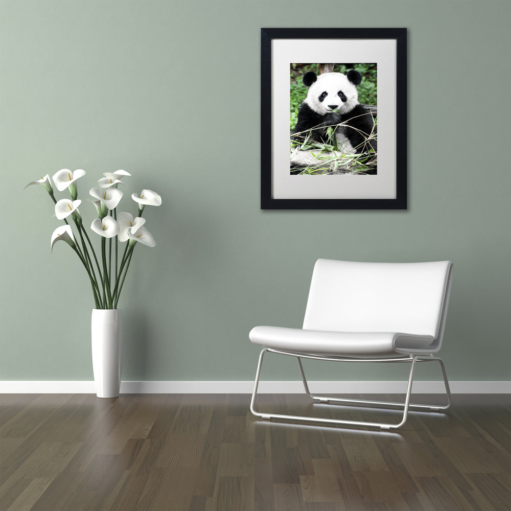 Philippe Hugonnard Giant Panda Black Wooden Framed Art 18 x 22 Inches Image 2