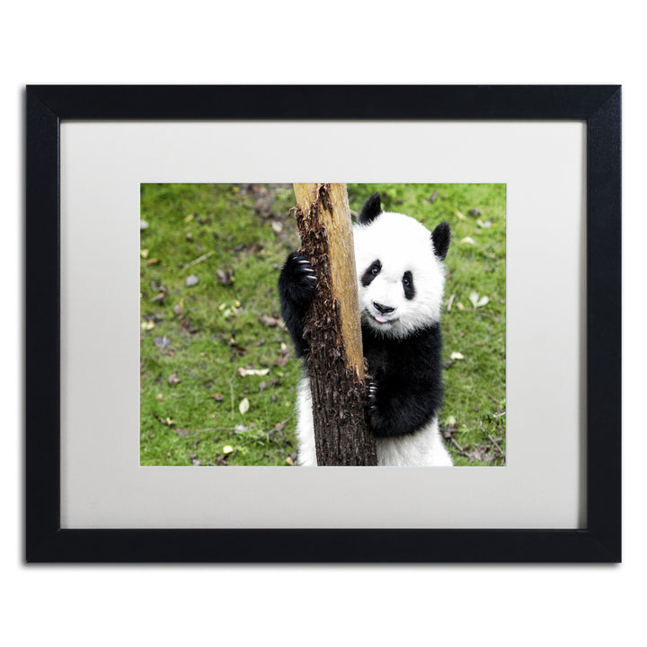 Philippe Hugonnard Giant Panda VI Black Wooden Framed Art 18 x 22 Inches Image 1