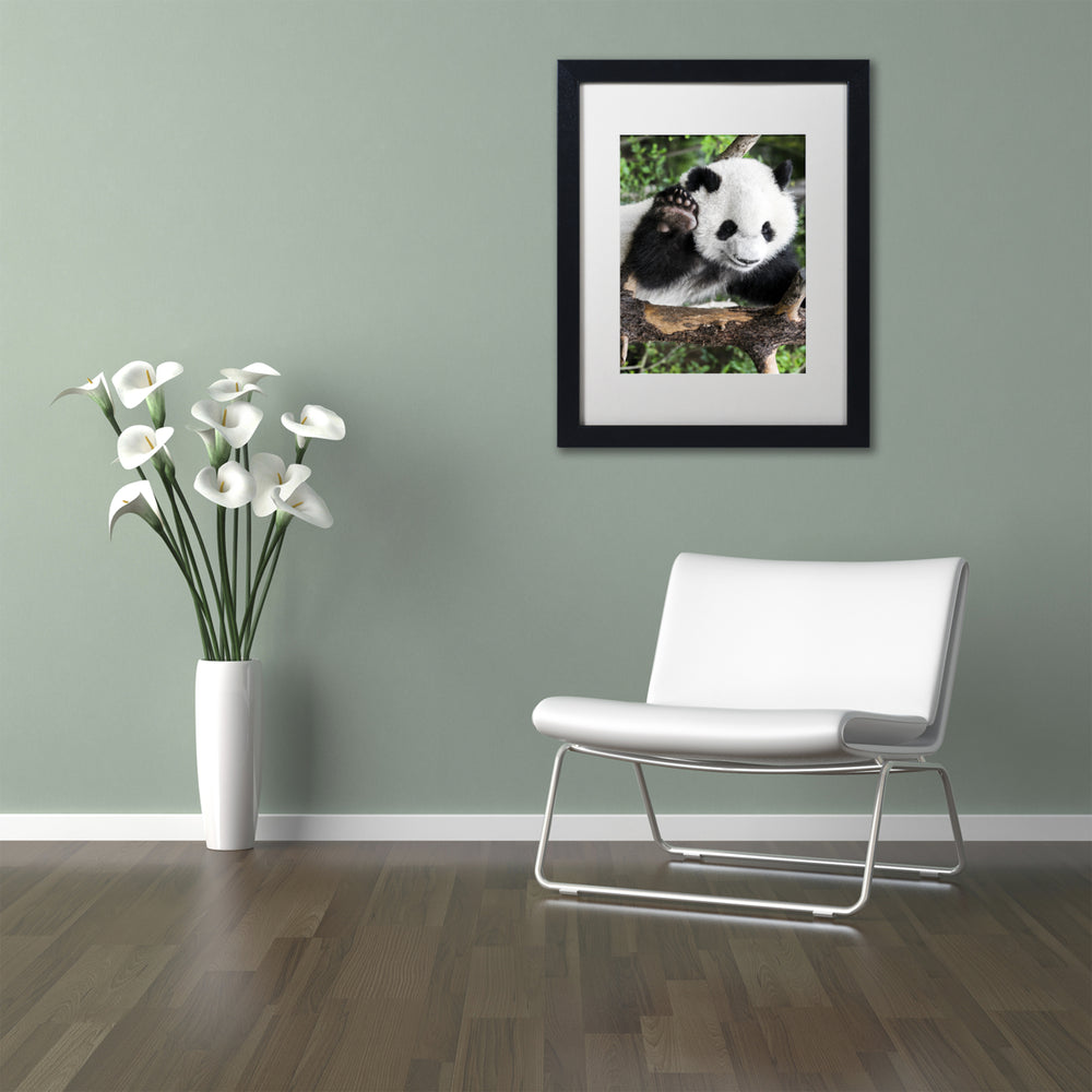 Philippe Hugonnard Giant Panda V Black Wooden Framed Art 18 x 22 Inches Image 2