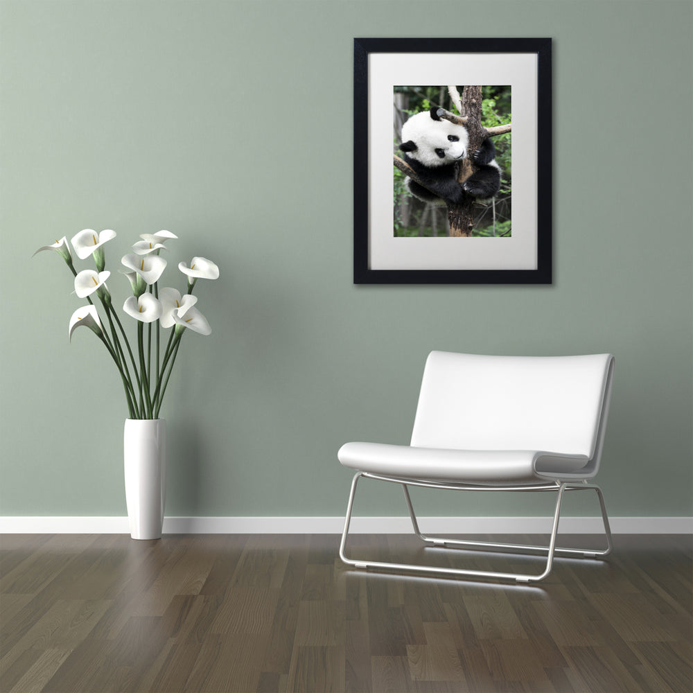 Philippe Hugonnard Giant Panda IV Black Wooden Framed Art 18 x 22 Inches Image 2