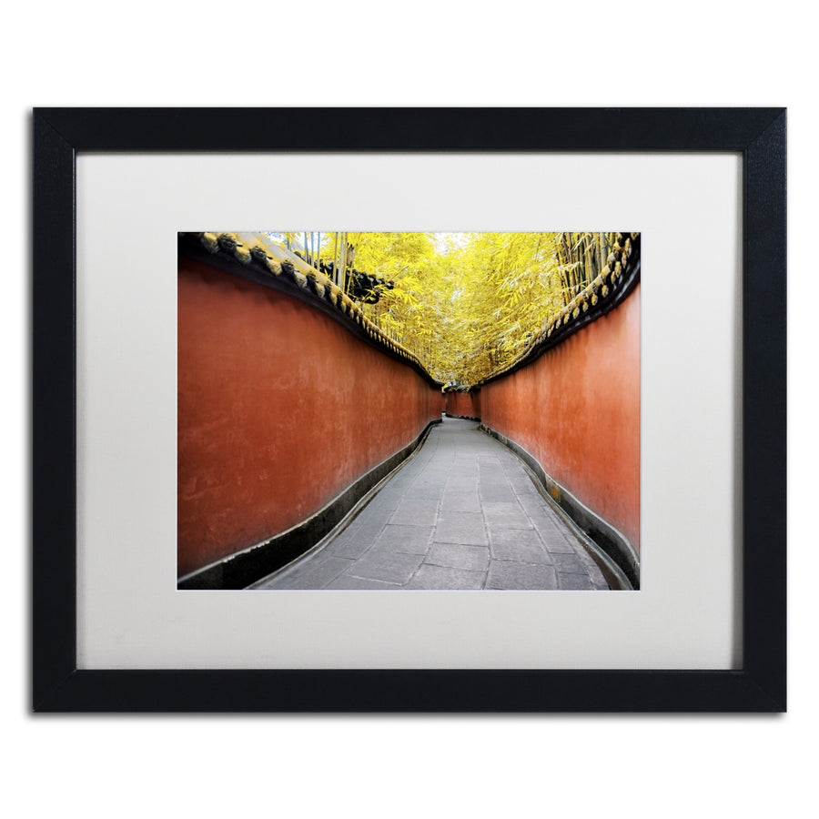 Philippe Hugonnard Alley Bamboo Black Wooden Framed Art 18 x 22 Inches Image 1