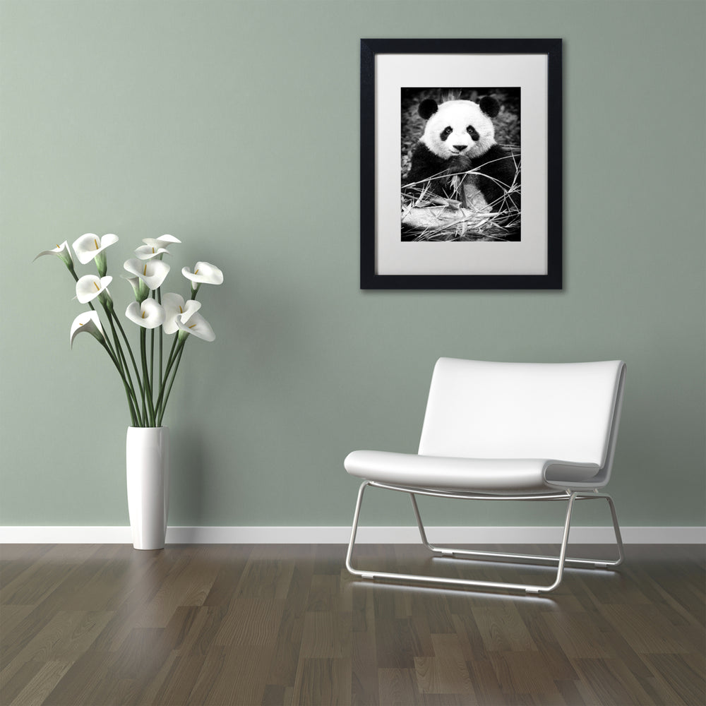 Philippe Hugonnard Panda Black Wooden Framed Art 18 x 22 Inches Image 2