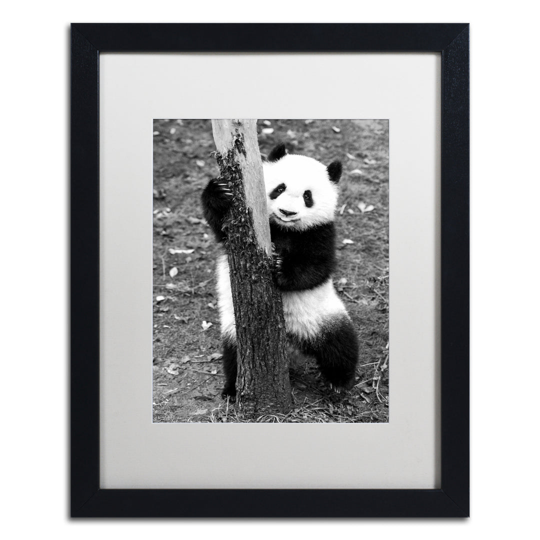 Philippe Hugonnard Panda III Black Wooden Framed Art 18 x 22 Inches Image 1