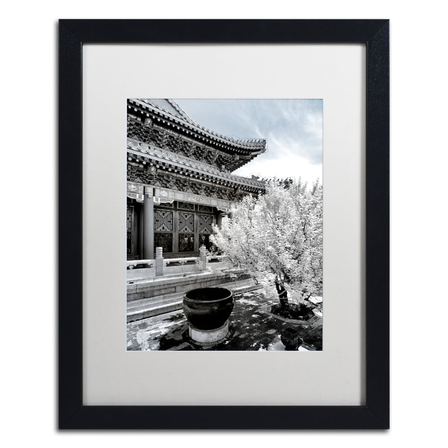Philippe Hugonnard White Temple X Black Wooden Framed Art 18 x 22 Inches Image 1