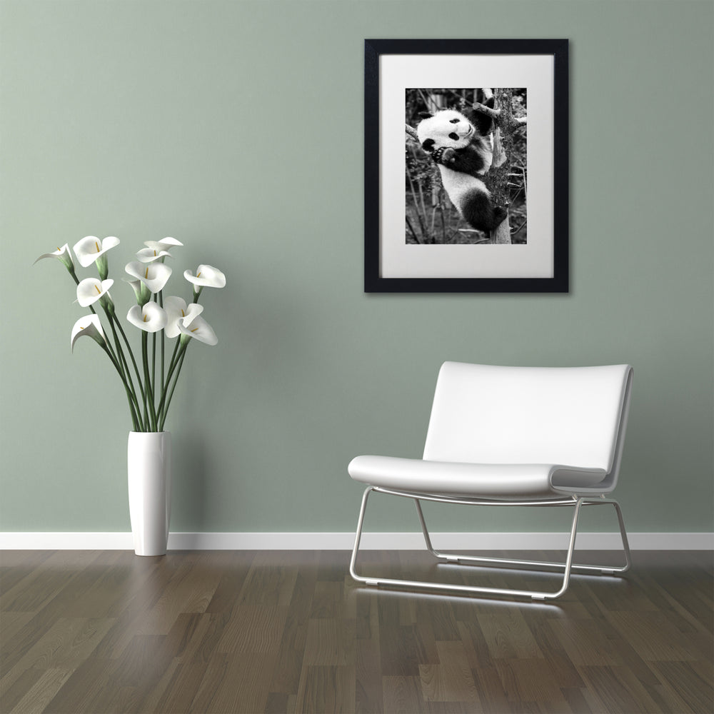 Philippe Hugonnard Panda II Black Wooden Framed Art 18 x 22 Inches Image 2