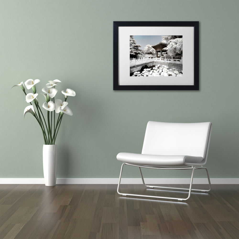 Philippe Hugonnard White Lotus Black Wooden Framed Art 18 x 22 Inches Image 2
