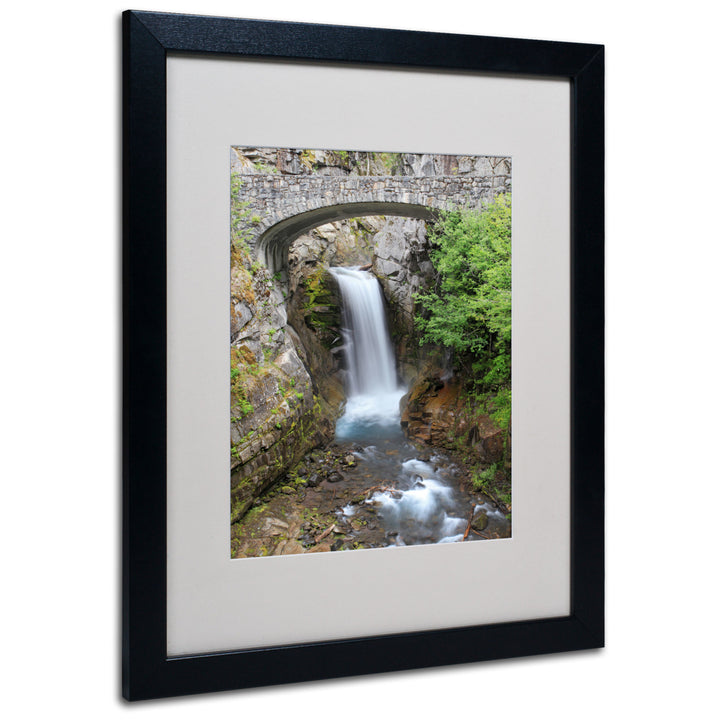 Pierre Leclerc Christine Falls Rainier Black Wooden Framed Art 18 x 22 Inches Image 1