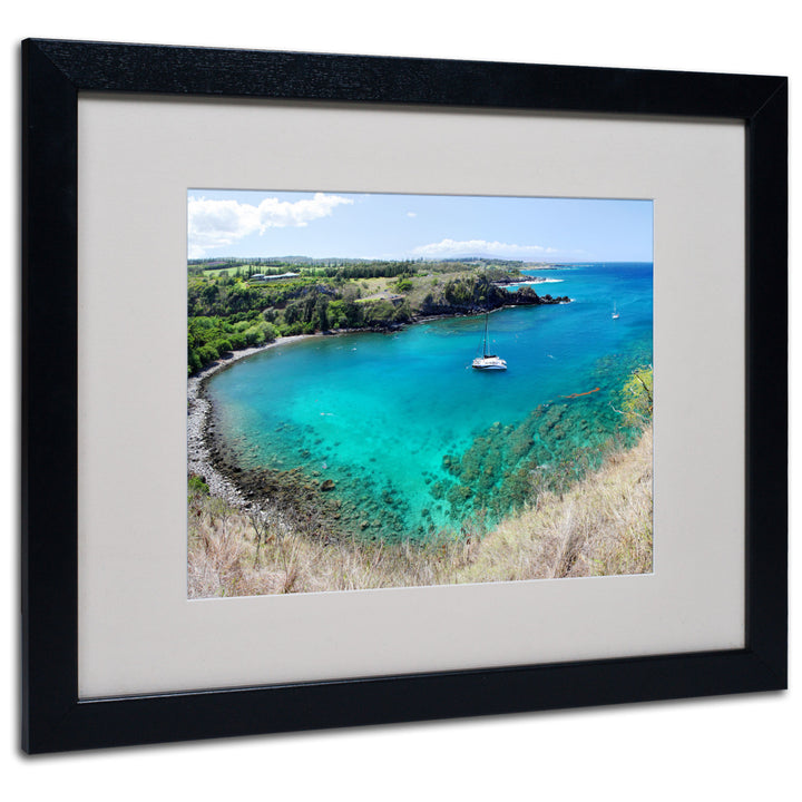 Pierre Leclerc Honolua Bay Black Wooden Framed Art 18 x 22 Inches Image 1