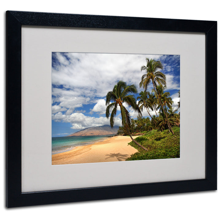 Pierre Leclerc Kamaole Tropical Black Wooden Framed Art 18 x 22 Inches Image 1