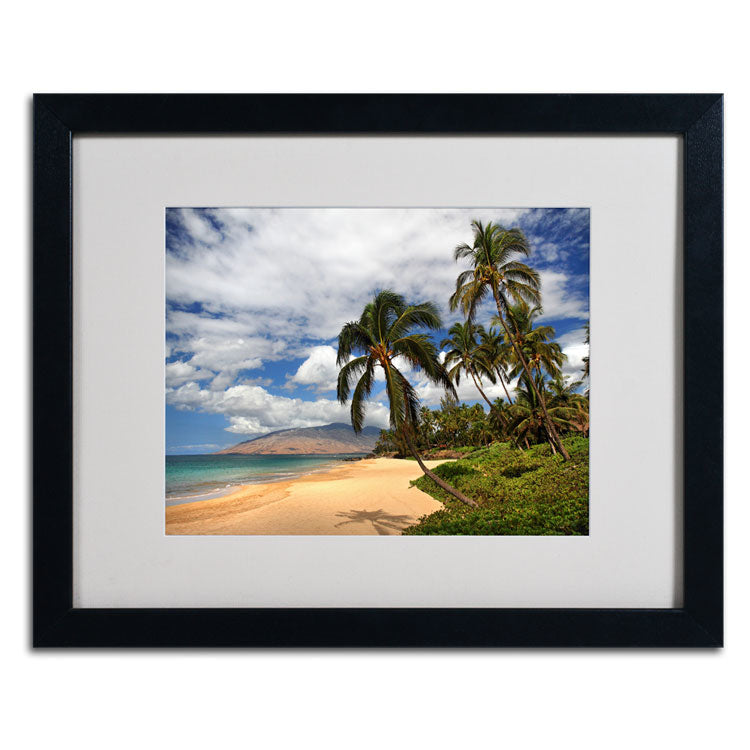 Pierre Leclerc Kamaole Tropical Black Wooden Framed Art 18 x 22 Inches Image 2