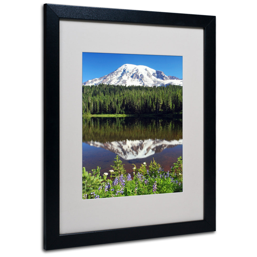 Pierre Leclerc Rainier Wildflowers Black Wooden Framed Art 18 x 22 Inches Image 1