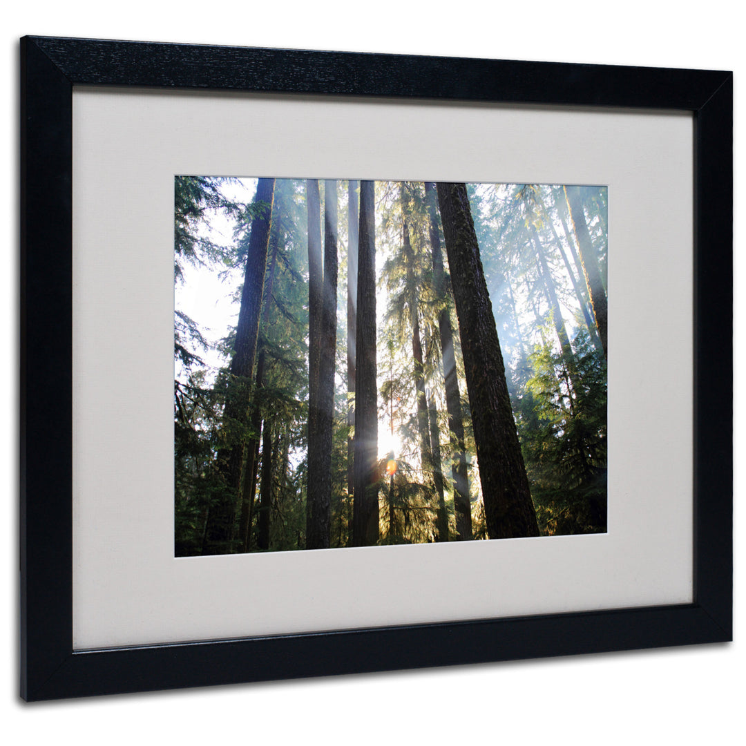 Pierre Leclerc Sunrays Black Wooden Framed Art 18 x 22 Inches Image 1