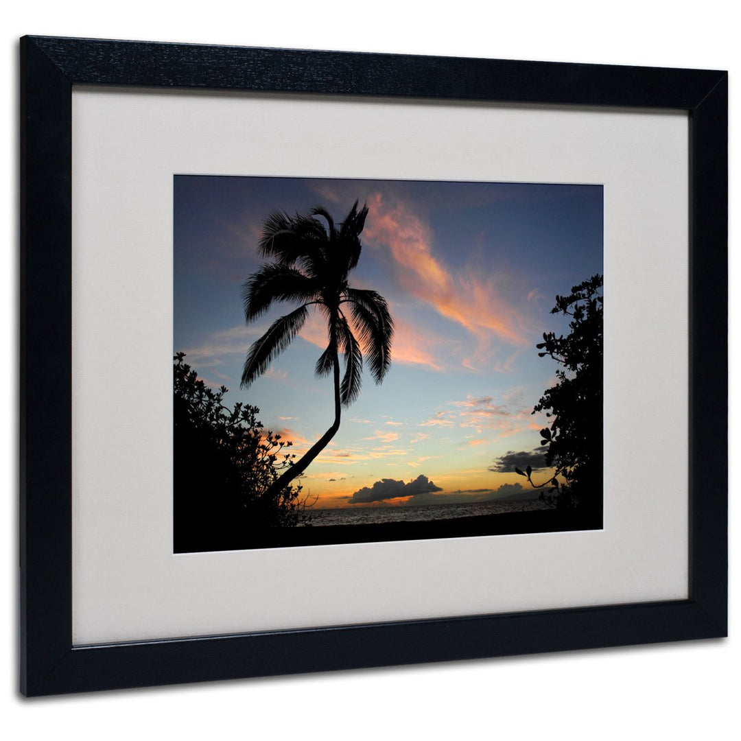 Pierre Leclerc Tropical Sunset Black Wooden Framed Art 18 x 22 Inches Image 1