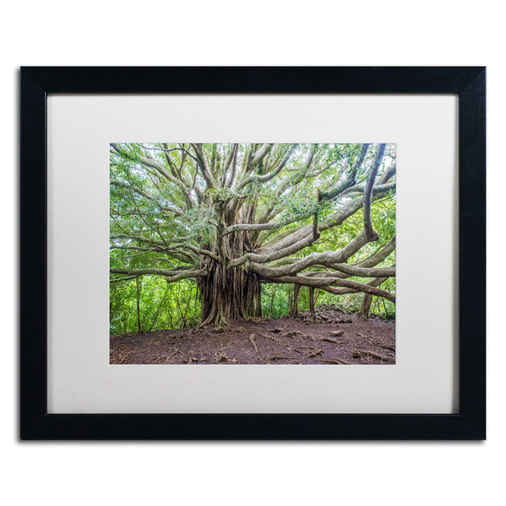 Pierre Leclerc Banyan Black Wooden Framed Art 18 x 22 Inches Image 1