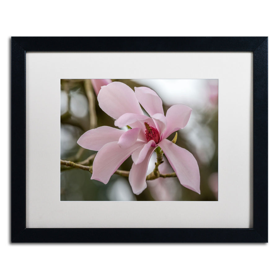 Pierre Leclerc Magnolia Black Wooden Framed Art 18 x 22 Inches Image 1