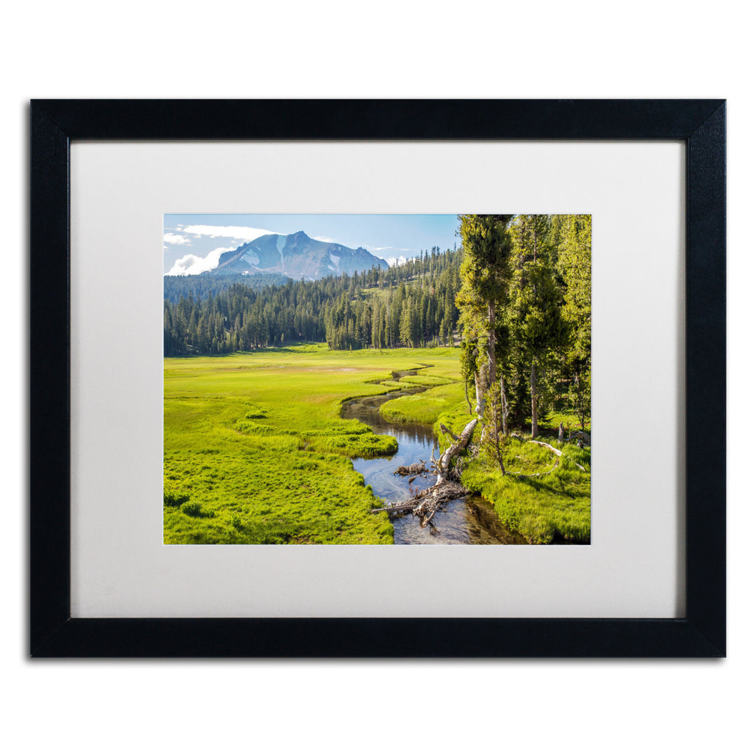 Pierre Leclerc Lassen Meadow Black Wooden Framed Art 18 x 22 Inches Image 1