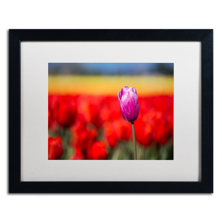 Pierre Leclerc Purple Tulip Black Wooden Framed Art 18 x 22 Inches Image 1