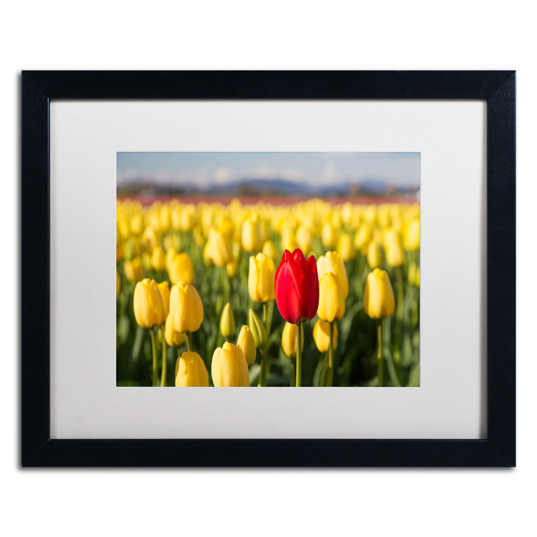 Pierre Leclerc Red Tulip Black Wooden Framed Art 18 x 22 Inches Image 1