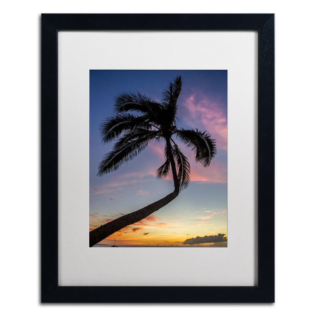 Pierre Leclerc Sunset Palm Black Wooden Framed Art 18 x 22 Inches Image 1