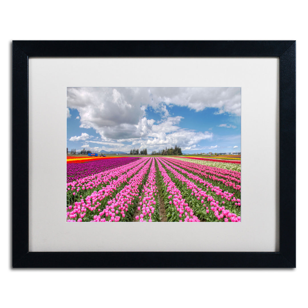 Pierre Leclerc Tulip Field Black Wooden Framed Art 18 x 22 Inches Image 1