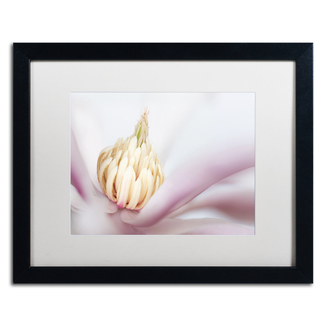 Pierre Leclerc Soft Magnolia Black Wooden Framed Art 18 x 22 Inches Image 1