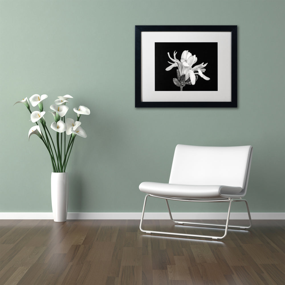 Pierre Leclerc Magnolia Flower Black Wooden Framed Art 18 x 22 Inches Image 2