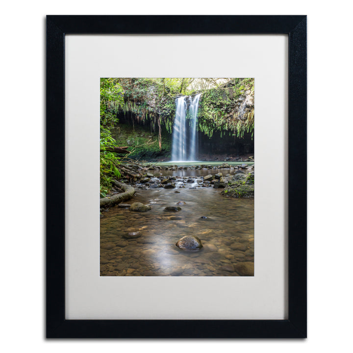 Pierre Leclerc Twin Falls Sunlight Black Wooden Framed Art 18 x 22 Inches Image 1