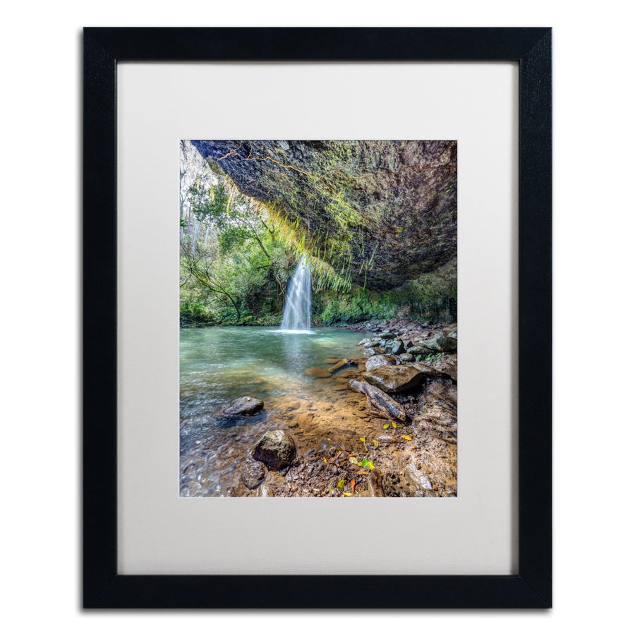 Pierre Leclerc Twin Falls Black Wooden Framed Art 18 x 22 Inches Image 1