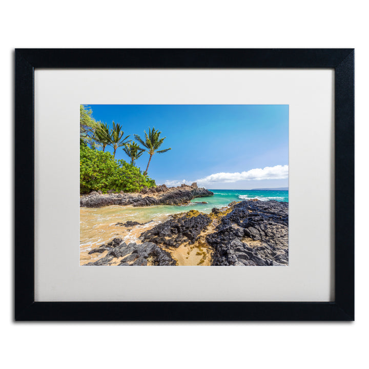 Pierre Leclerc Tropical Beach Black Wooden Framed Art 18 x 22 Inches Image 1