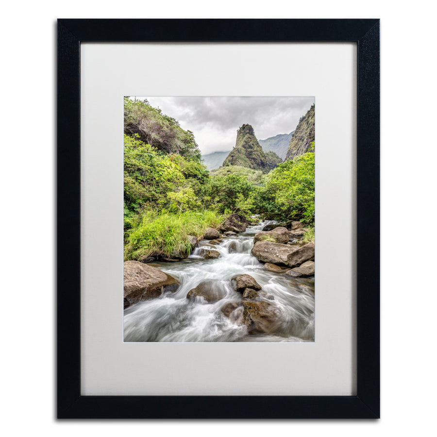 Pierre Leclerc Iao Valley Maui Black Wooden Framed Art 18 x 22 Inches Image 1