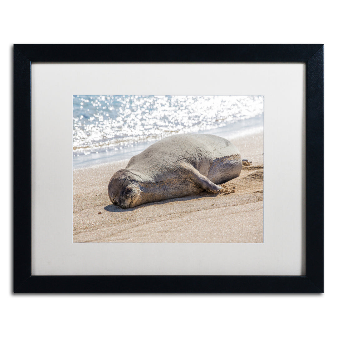 Pierre Leclerc Hawaiian Monk Seal Black Wooden Framed Art 18 x 22 Inches Image 1