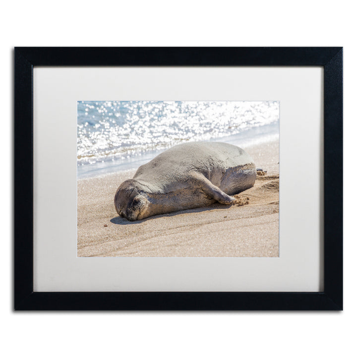 Pierre Leclerc Hawaiian Monk Seal Black Wooden Framed Art 18 x 22 Inches Image 1