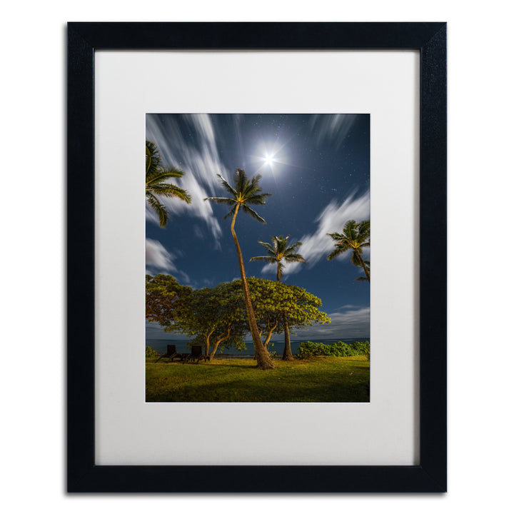 Pierre Leclerc Moonlit Palm Trees Black Wooden Framed Art 18 x 22 Inches Image 1