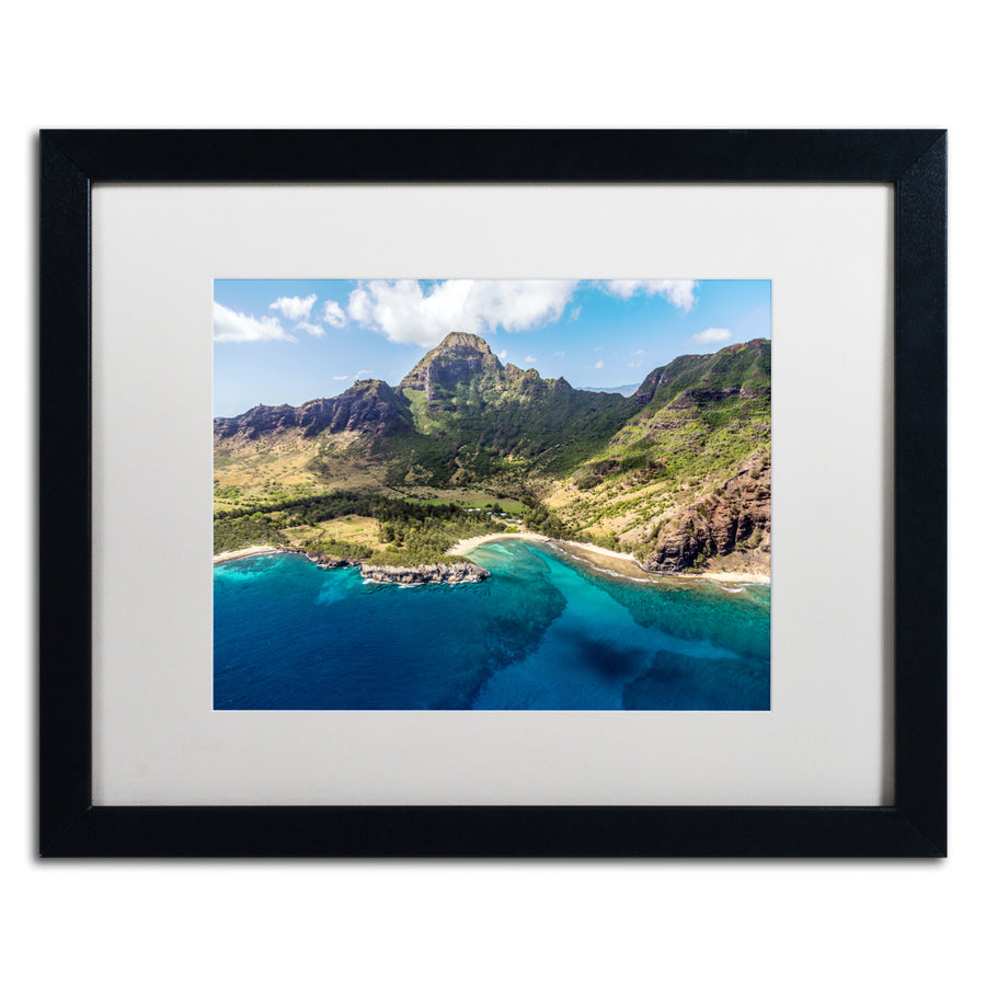 Pierre Leclerc Kauai from the Air Black Wooden Framed Art 18 x 22 Inches Image 1