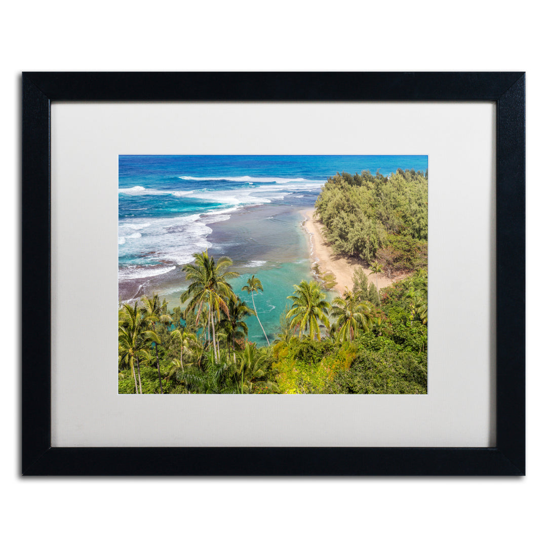 Pierre Leclerc Tropical Paradise Black Wooden Framed Art 18 x 22 Inches Image 1