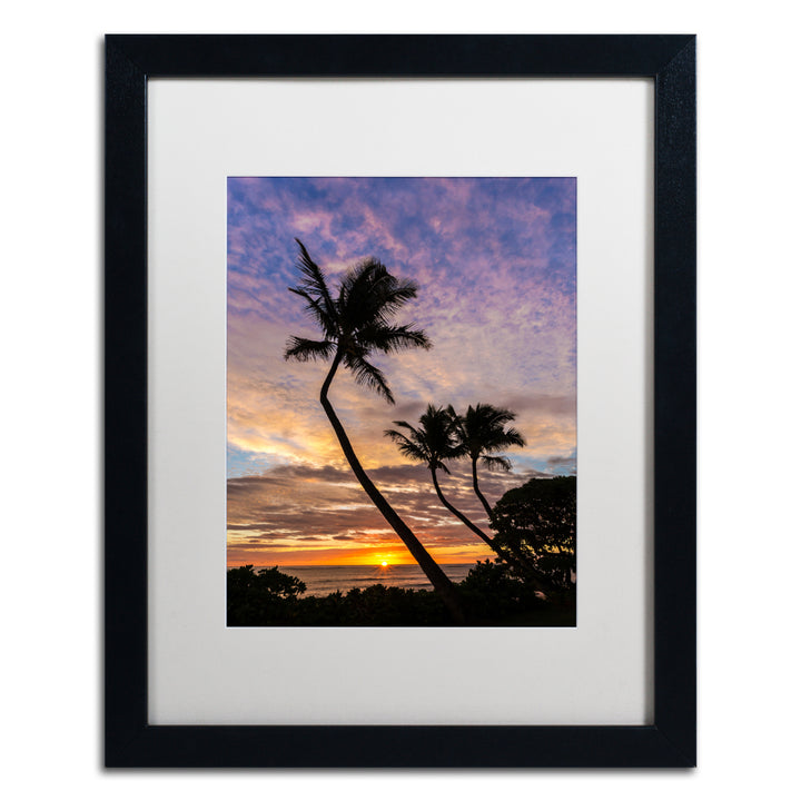 Pierre Leclerc Kauai Sunrise Black Wooden Framed Art 18 x 22 Inches Image 1