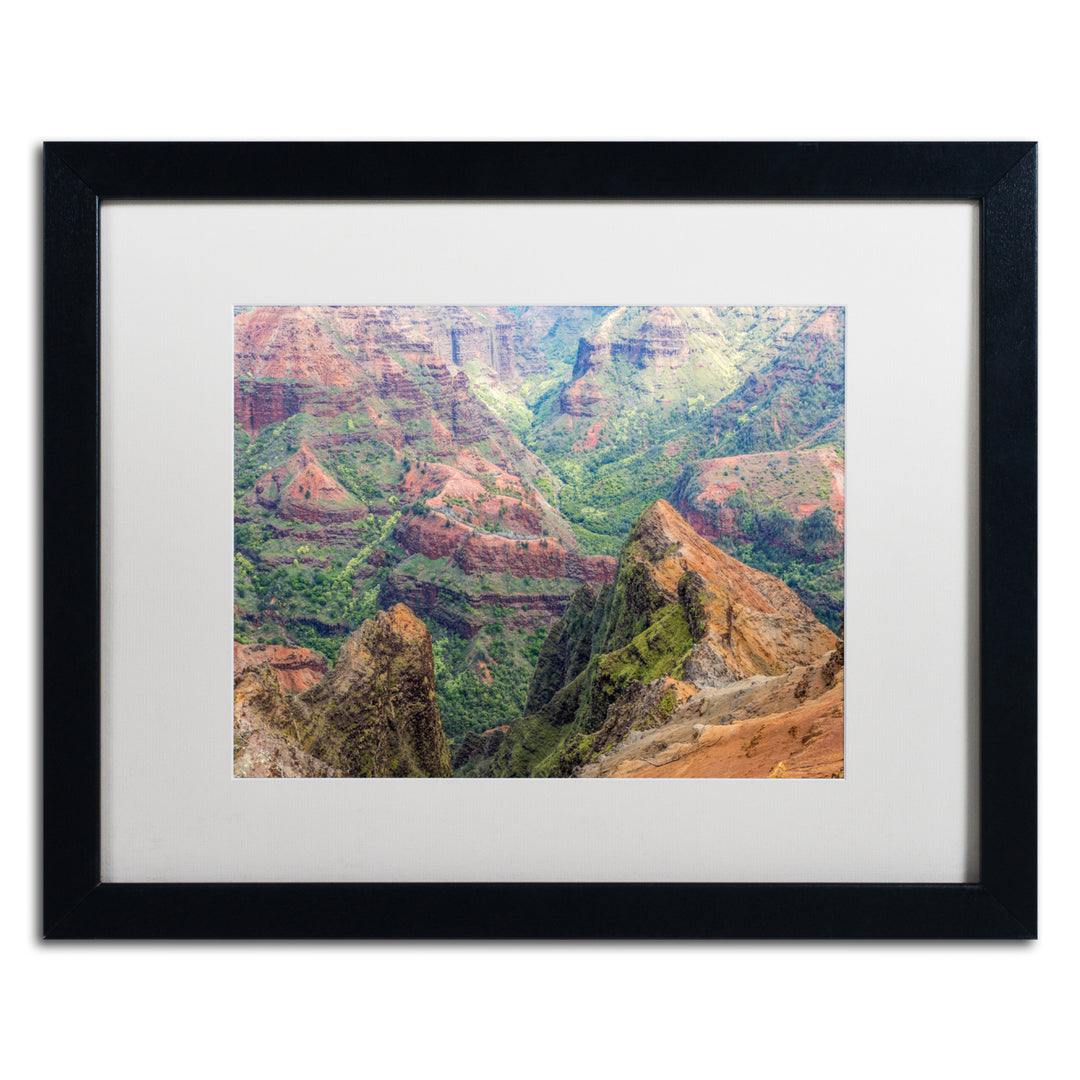 Pierre Leclerc Waimea Canyon Black Wooden Framed Art 18 x 22 Inches Image 1