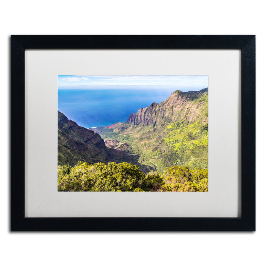 Pierre Leclerc Kalalau Valley Black Wooden Framed Art 18 x 22 Inches Image 1