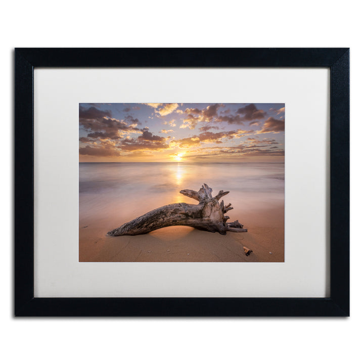 Pierre Leclerc Beach Tree Sunrise Black Wooden Framed Art 18 x 22 Inches Image 1