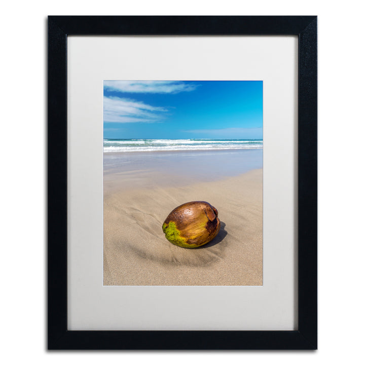 Pierre Leclerc Beached Coconut Black Wooden Framed Art 18 x 22 Inches Image 1