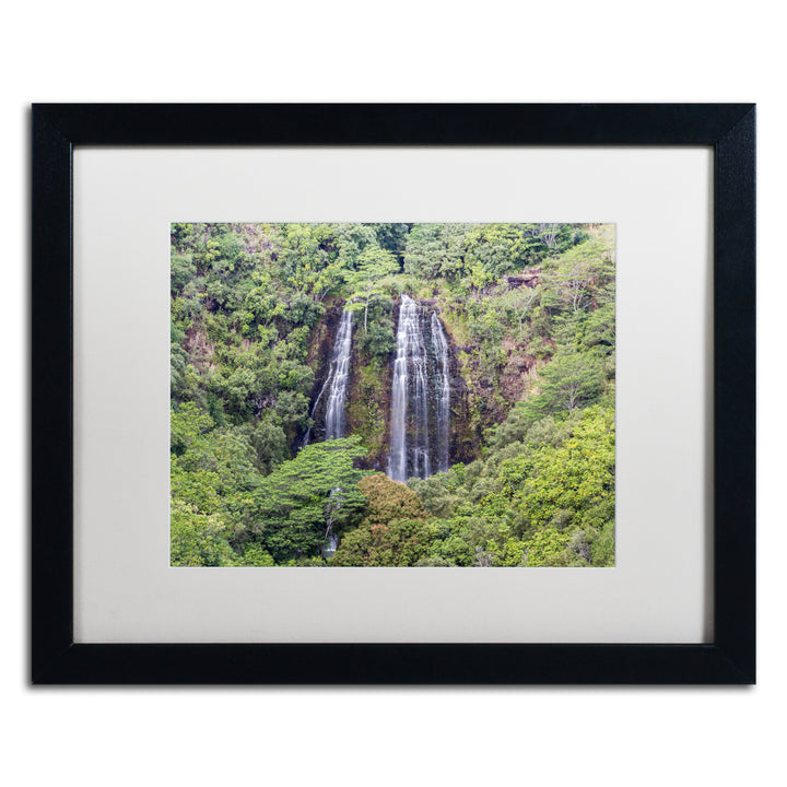 Pierre Leclerc Opaekaa Falls Black Wooden Framed Art 18 x 22 Inches Image 1