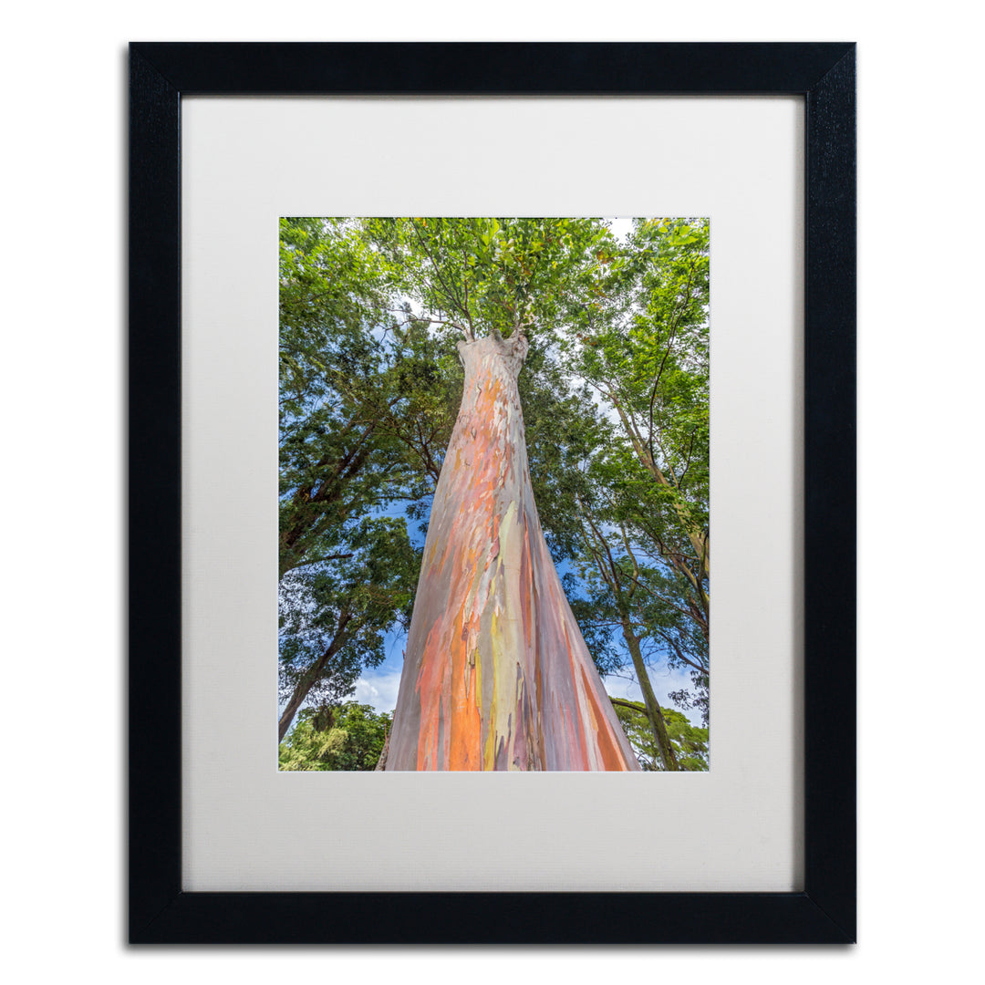 Pierre Leclerc Rainbow Tree Black Wooden Framed Art 18 x 22 Inches Image 1