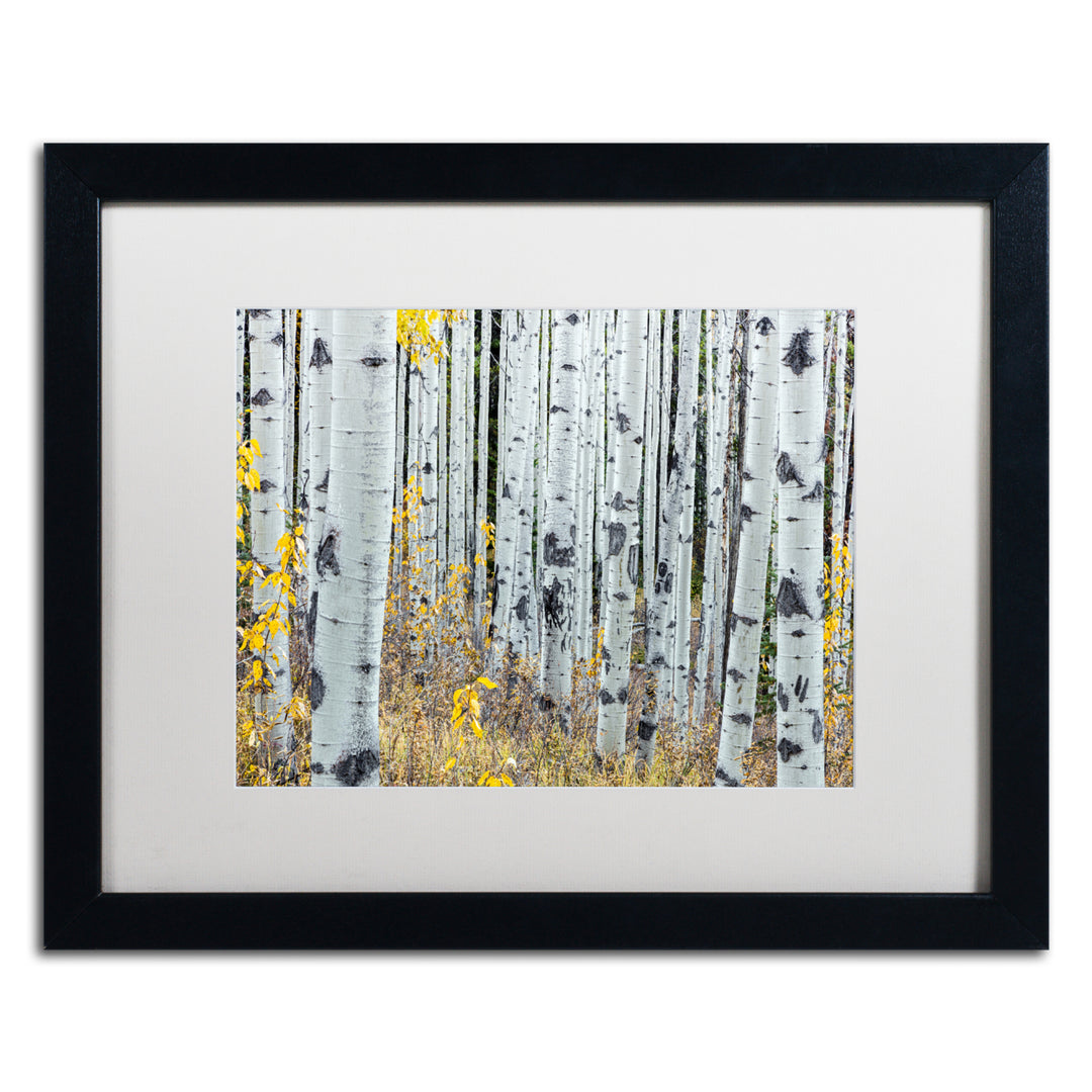 Pierre Leclerc Forest of Aspens Black Wooden Framed Art 18 x 22 Inches Image 1