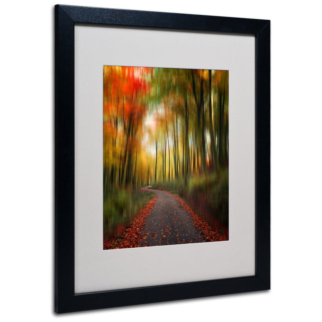 Philippe Sainte-Laudy The Lost Path Black Wooden Framed Art 18 x 22 Inches Image 1