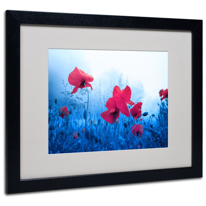 Philippe Sainte-Laudy Jam for Poppies Black Wooden Framed Art 18 x 22 Inches Image 1