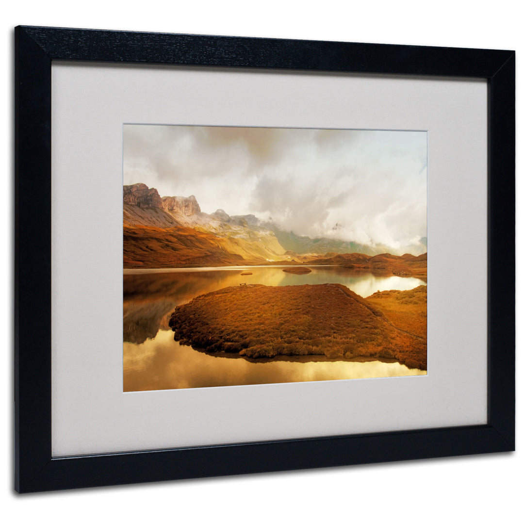 Philippe Sainte-Laudy Shades of Gold Black Wooden Framed Art 18 x 22 Inches Image 1